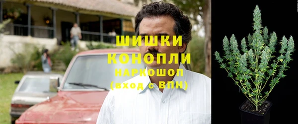 стафф Аркадак