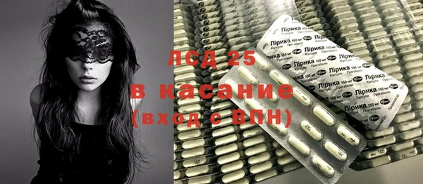 стафф Аркадак