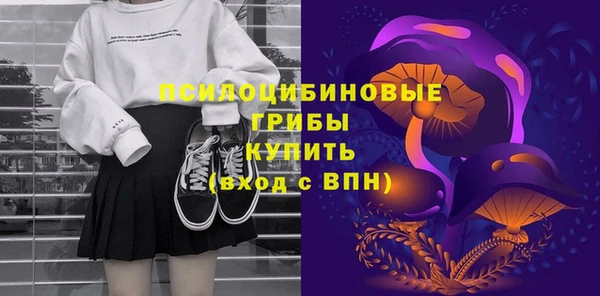 эйфоретик Алзамай