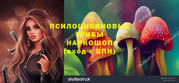 прущий лед Армянск
