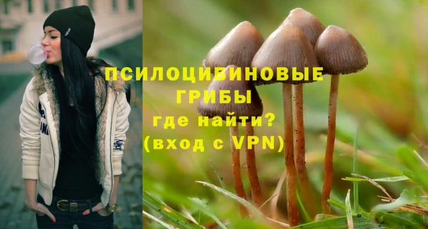 стафф Аркадак