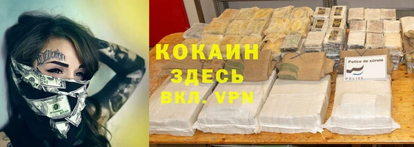 стафф Аркадак